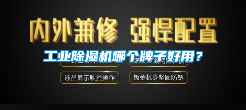 工業除濕機哪個牌子好用？