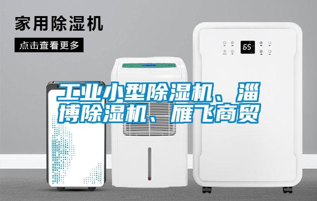 工業小型除濕機、淄博除濕機、雁飛商貿