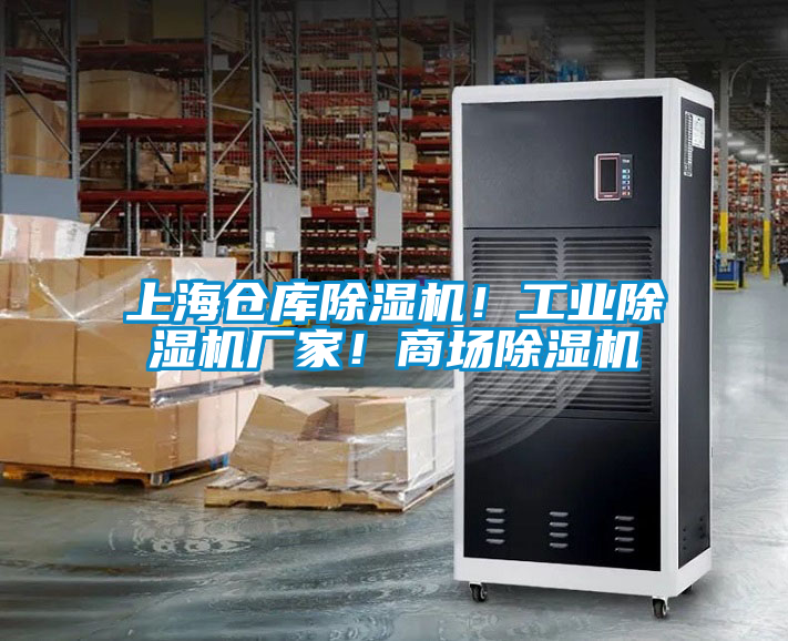 上海倉(cāng)庫(kù)除濕機(jī)！工業(yè)除濕機(jī)廠家！商場(chǎng)除濕機(jī)