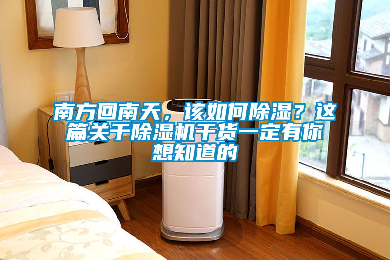 南方回南天，該如何除濕？這篇關(guān)于除濕機(jī)干貨一定有你想知道的