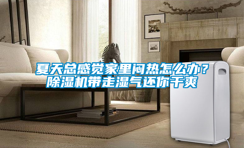 夏天總感覺家里悶熱怎么辦？除濕機帶走濕氣還你干爽