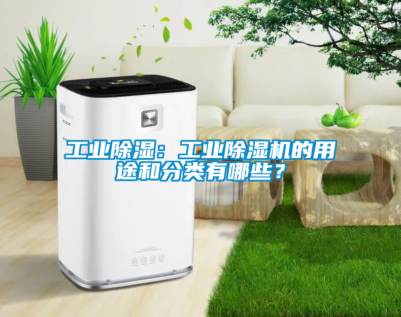 工業除濕：工業除濕機的用途和分類有哪些？