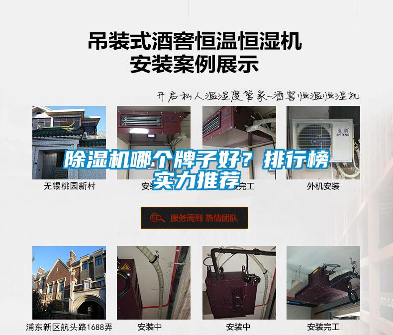 除濕機(jī)哪個牌子好？排行榜實力推薦