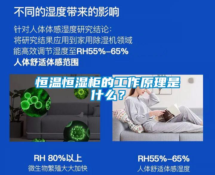 恒溫恒濕柜的工作原理是什么？