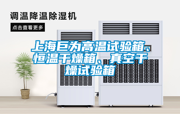 上海巨為高溫試驗(yàn)箱、恒溫干燥箱、真空干燥試驗(yàn)箱