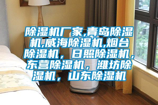 除濕機廠家,青島除濕機,威海除濕機,煙臺除濕機，日照除濕機，東營除濕機，濰坊除濕機，山東除濕機