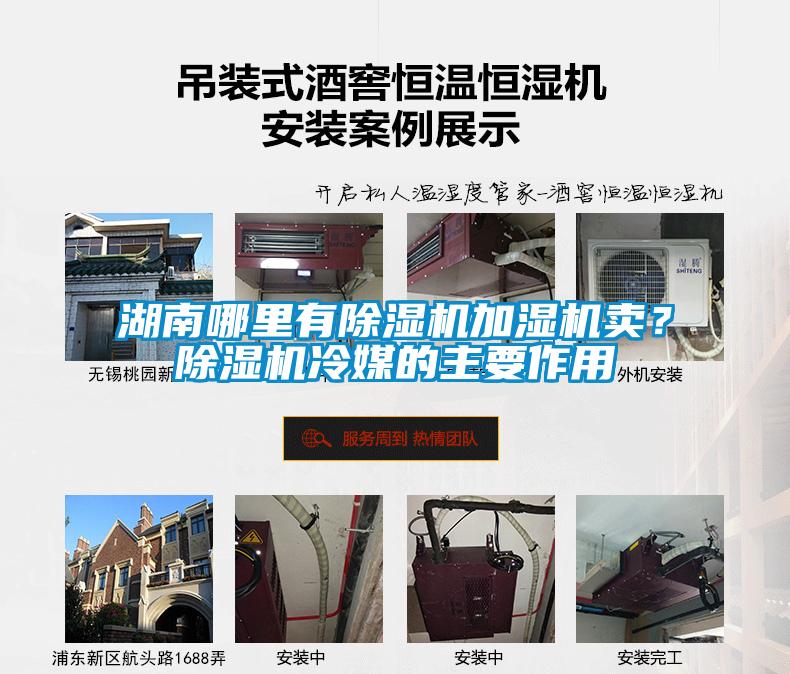 湖南哪里有除濕機(jī)加濕機(jī)賣(mài)？除濕機(jī)冷媒的主要作用