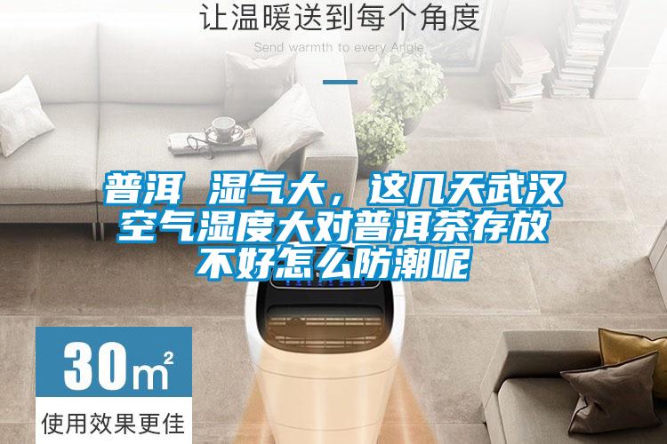 普洱 濕氣大，這幾天武漢空氣濕度大對普洱茶存放不好怎么防潮呢