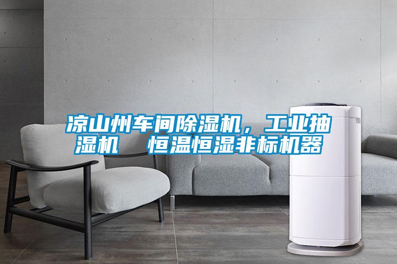 涼山州車(chē)間除濕機(jī)，工業(yè)抽濕機(jī)  恒溫恒濕非標(biāo)機(jī)器
