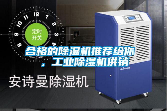 合格的除濕機(jī)推薦給你 ，工業(yè)除濕機(jī)供銷