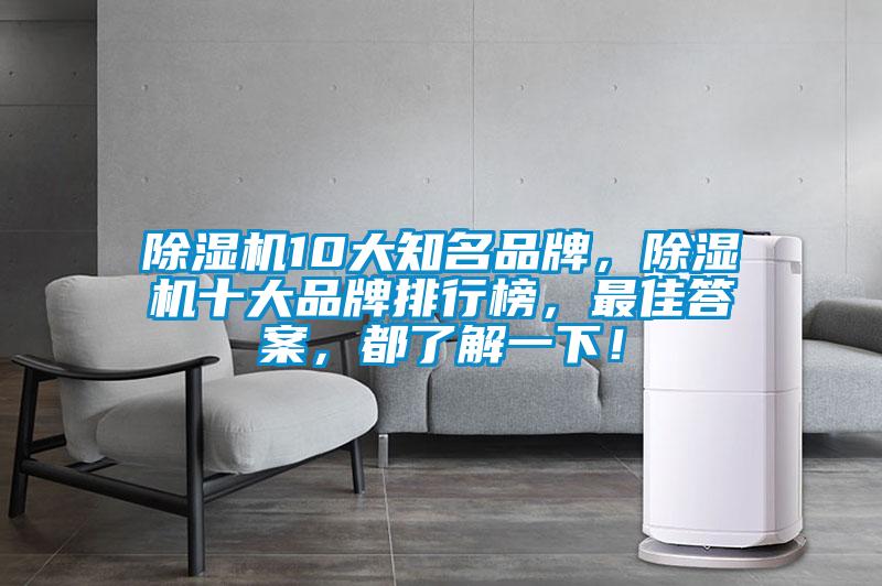 除濕機10大知名品牌，除濕機十大品牌排行榜，最佳答案，都了解一下！