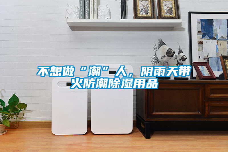 不想做“潮”人，陰雨天帶火防潮除濕用品