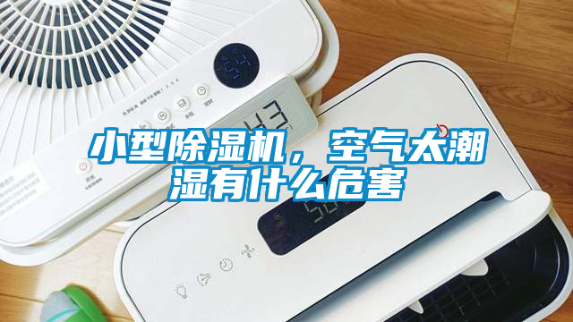 小型除濕機，空氣太潮濕有什么危害