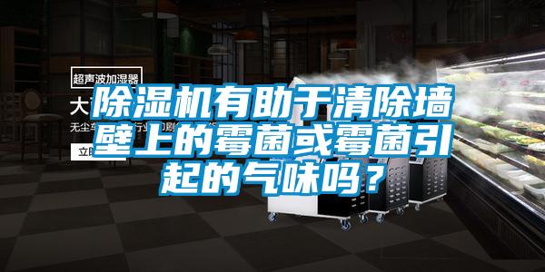 除濕機有助于清除墻壁上的霉菌或霉菌引起的氣味嗎？