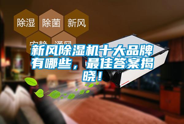 新風(fēng)除濕機十大品牌有哪些，最佳答案揭曉！