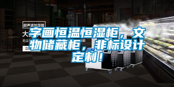 字畫恒溫恒濕柜，文物儲藏柜，非標設計定制！