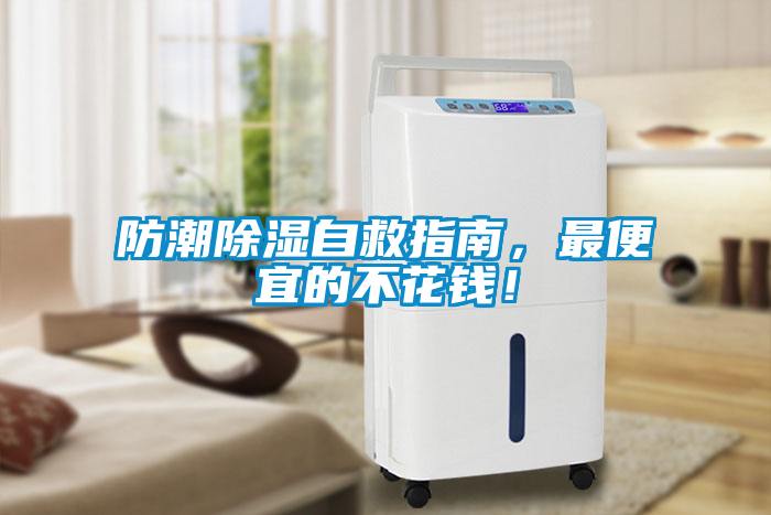 防潮除濕自救指南，最便宜的不花錢！