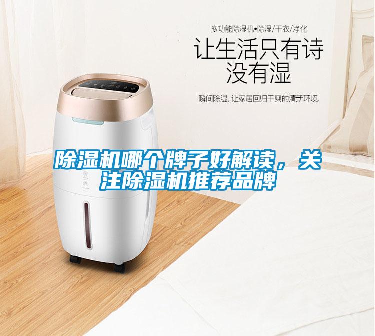 除濕機哪個牌子好解讀，關注除濕機推薦品牌