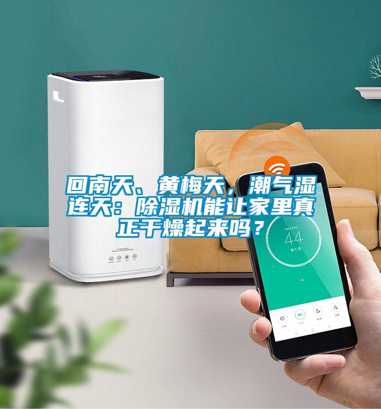 回南天、黃梅天，潮氣濕連天：除濕機能讓家里真正干燥起來嗎？