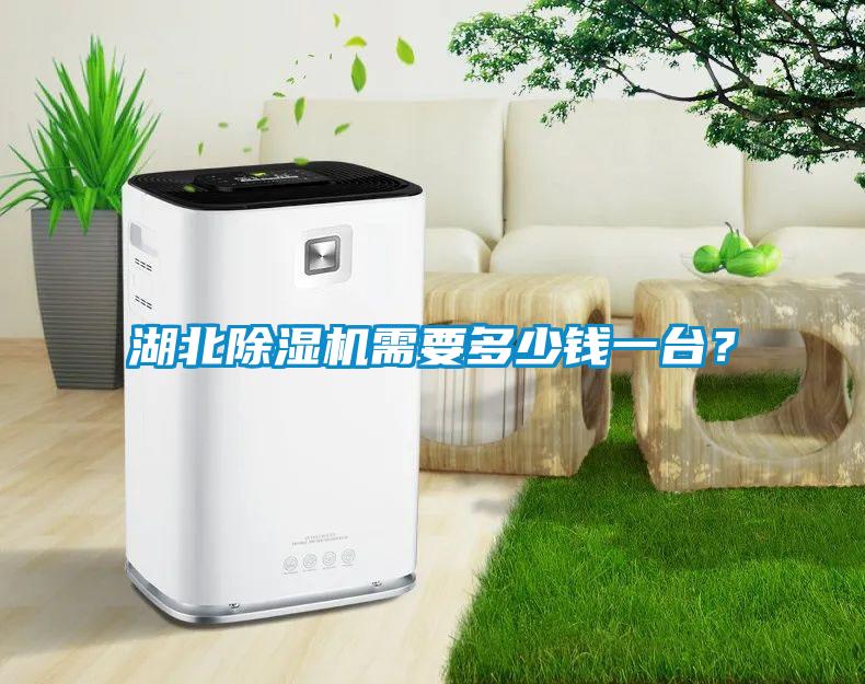 湖北除濕機需要多少錢一臺？