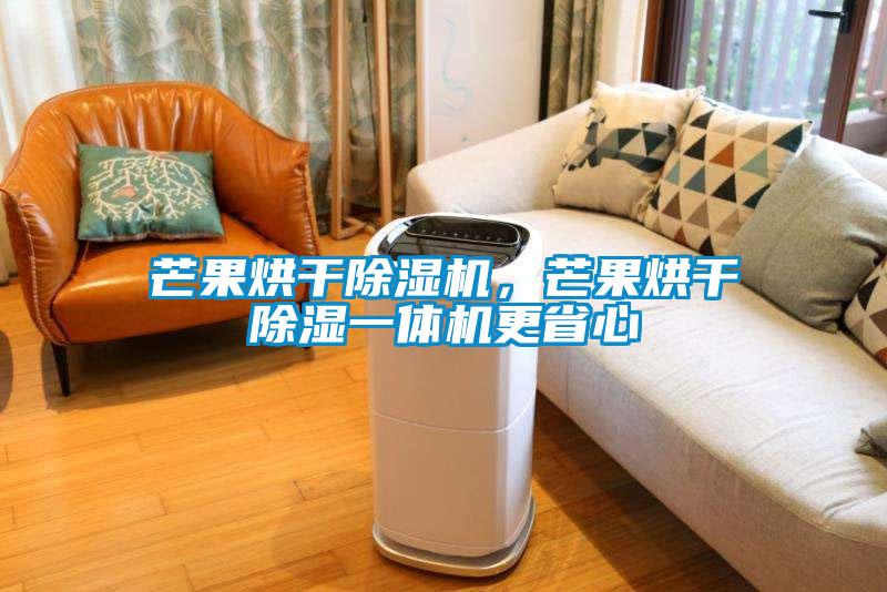芒果烘干除濕機，芒果烘干除濕一體機更省心