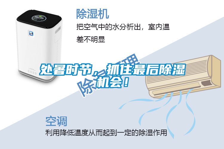 處暑時節，抓住最后除濕機會！