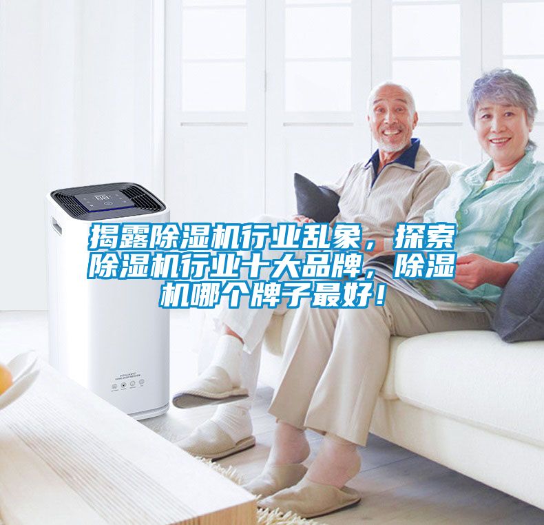 揭露除濕機行業亂象，探索除濕機行業十大品牌，除濕機哪個牌子最好！
