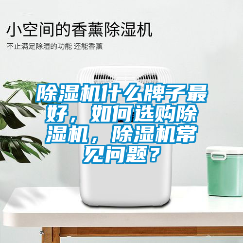 除濕機(jī)什么牌子最好，如何選購(gòu)除濕機(jī)，除濕機(jī)常見問題？