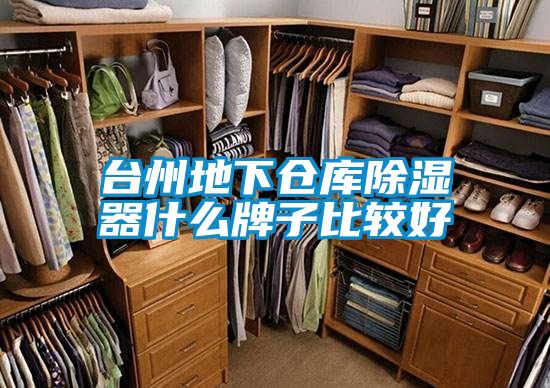 臺(tái)州地下倉(cāng)庫除濕器什么牌子比較好