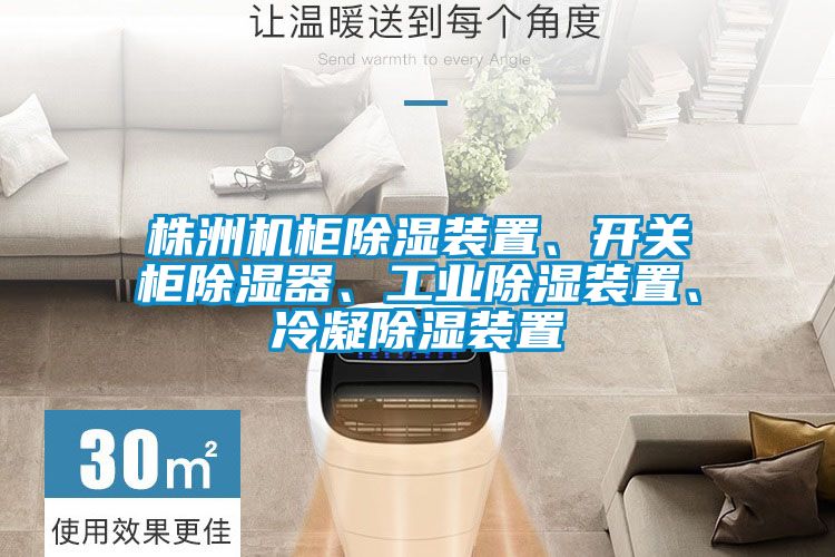 株洲機柜除濕裝置、開關柜除濕器、工業除濕裝置、冷凝除濕裝置
