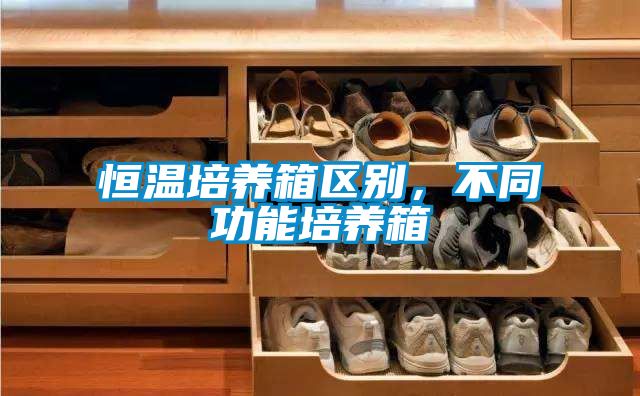 恒溫培養箱區別，不同功能培養箱