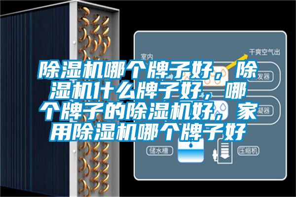 除濕機哪個牌子好，除濕機什么牌子好，哪個牌子的除濕機好，家用除濕機哪個牌子好