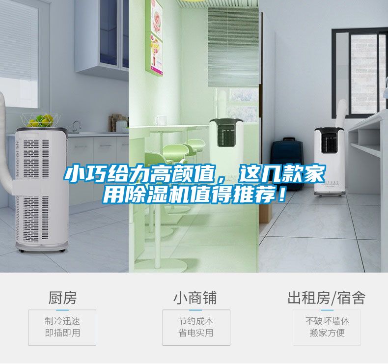 小巧給力高顏值，這幾款家用除濕機值得推薦！