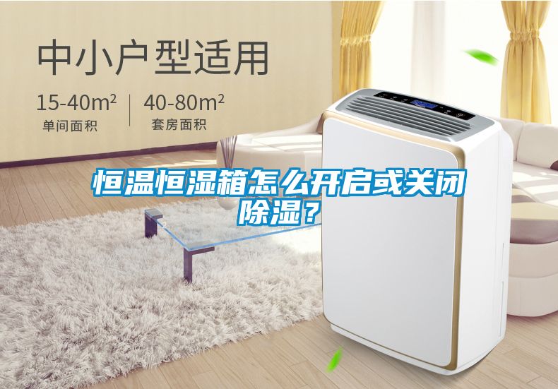 恒溫恒濕箱怎么開啟或關(guān)閉除濕？
