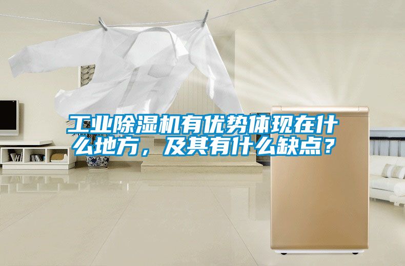 工業除濕機有優勢體現在什么地方，及其有什么缺點？