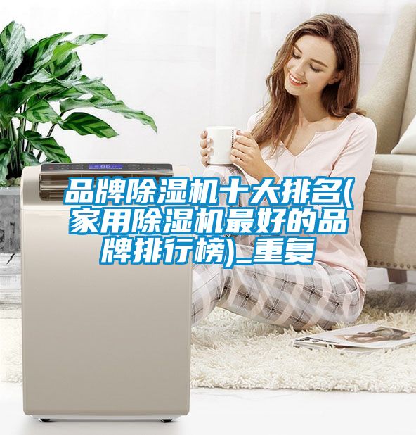 品牌除濕機十大排名(家用除濕機最好的品牌排行榜)_重復(fù)