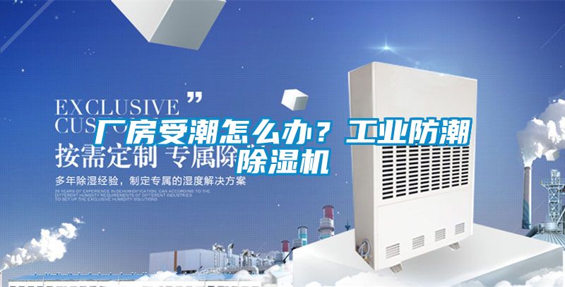 廠房受潮怎么辦？工業防潮除濕機