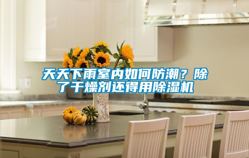 天天下雨室內如何防潮？除了干燥劑還得用除濕機