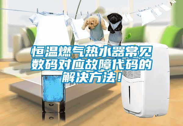 恒溫燃氣熱水器常見數(shù)碼對應(yīng)故障代碼的解決方法！