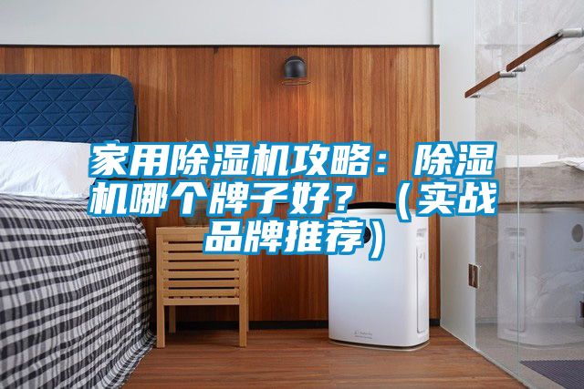 家用除濕機(jī)攻略：除濕機(jī)哪個(gè)牌子好？（實(shí)戰(zhàn)品牌推薦）