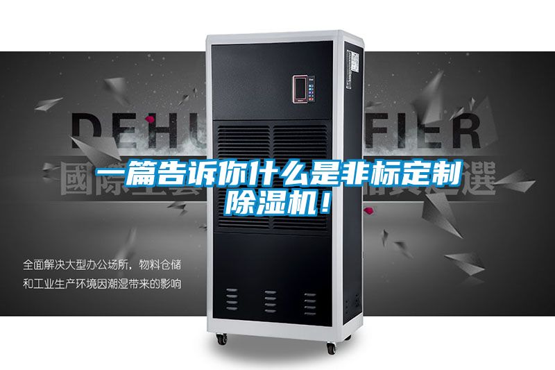 一篇告訴你什么是非標(biāo)定制除濕機！