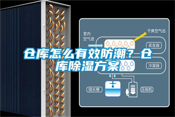 倉庫怎么有效防潮？倉庫除濕方案