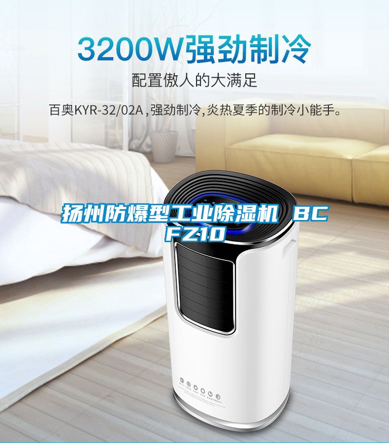 揚州防爆型工業(yè)除濕機(jī) BCFZ10