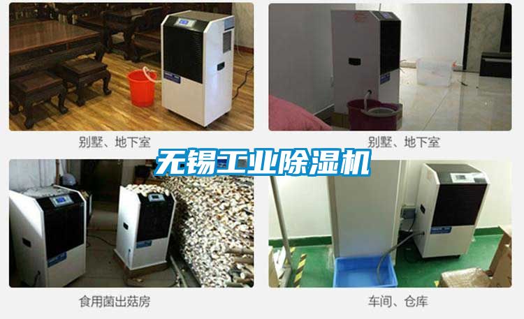 無(wú)錫工業(yè)除濕機(jī)