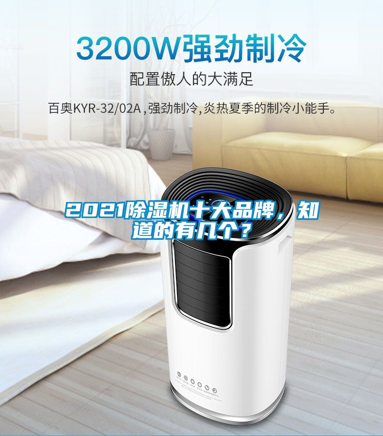 2021除濕機十大品牌，知道的有幾個？
