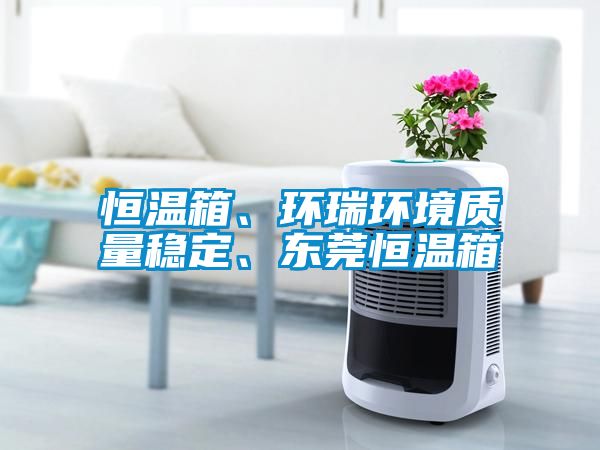 恒溫箱、環瑞環境質量穩定、東莞恒溫箱