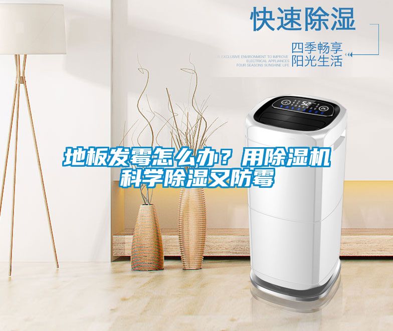 地板發(fā)霉怎么辦？用除濕機(jī)科學(xué)除濕又防霉