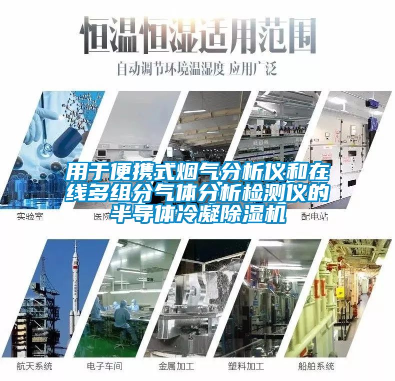 用于便攜式煙氣分析儀和在線多組分氣體分析檢測儀的半導(dǎo)體冷凝除濕機