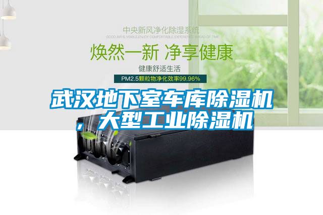 武漢地下室車庫除濕機，大型工業除濕機