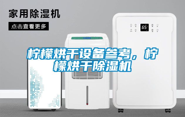 檸檬烘干設(shè)備參考，檸檬烘干除濕機(jī)